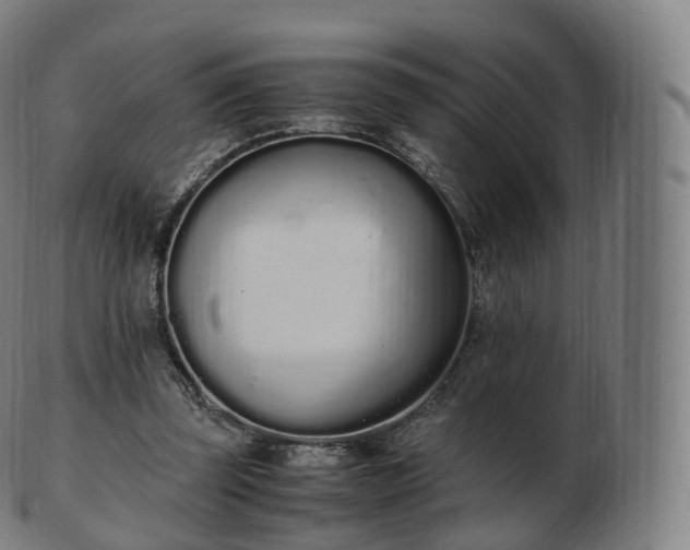 X0000103330347200809121215