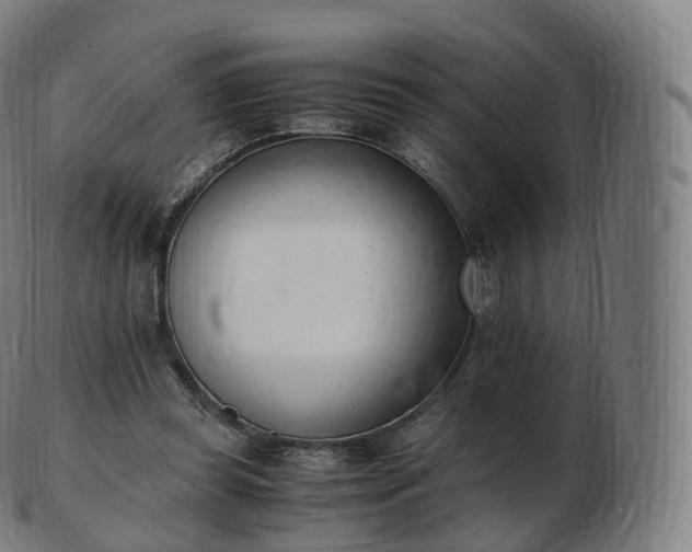 X0000103330349200809121215