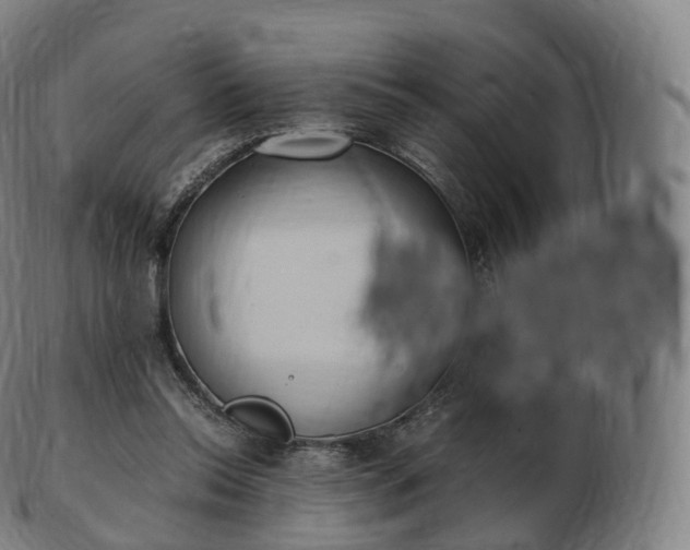 X0000103330350200809121215