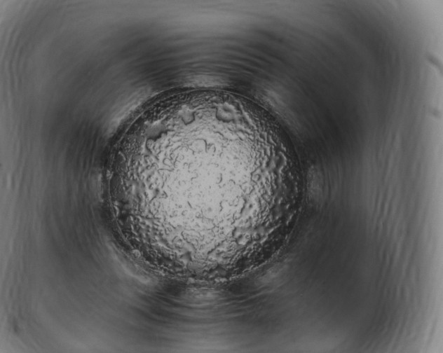 X0000103330351200809121215