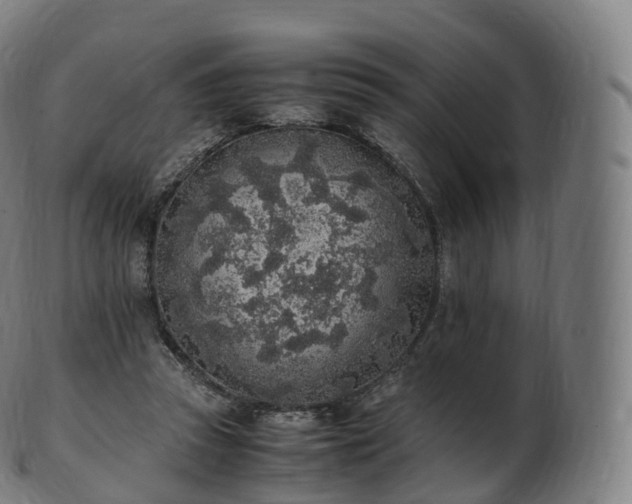 X0000103330353200809121215