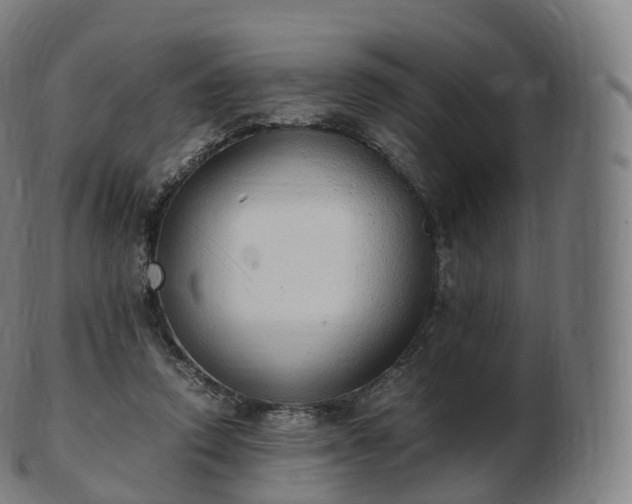 X0000103330354200809121215