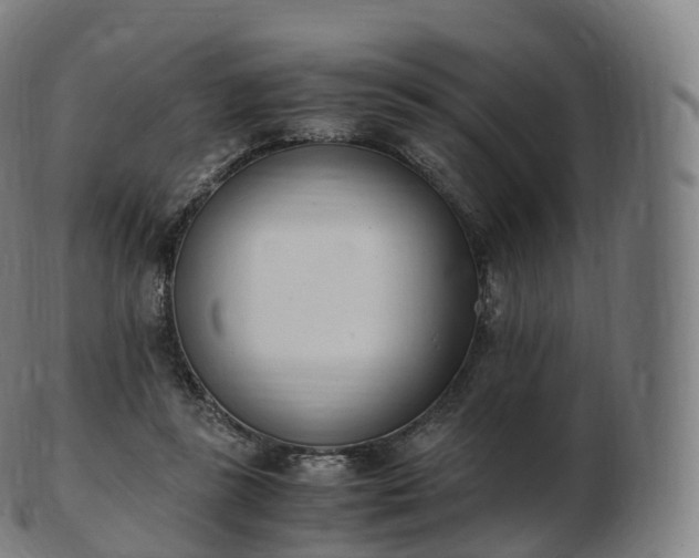 X0000103330355200809121215