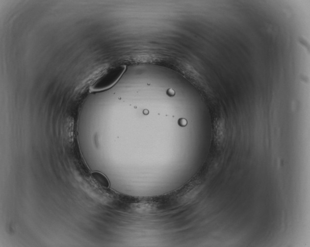 X0000103330356200809121215