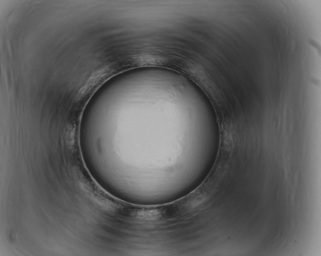 X0000103330357200809121215