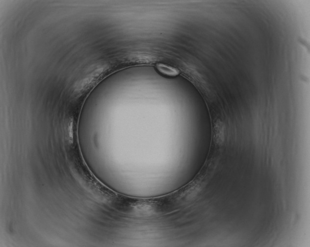 X0000103330358200809121215