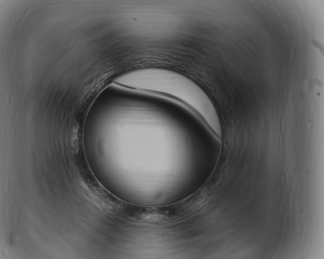 X0000103330360200809121215