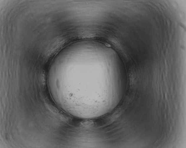 X0000103330362200809121215