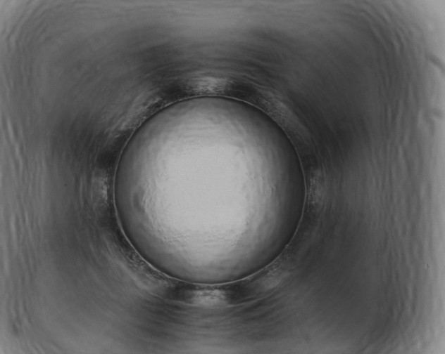 X0000103330363200809121215