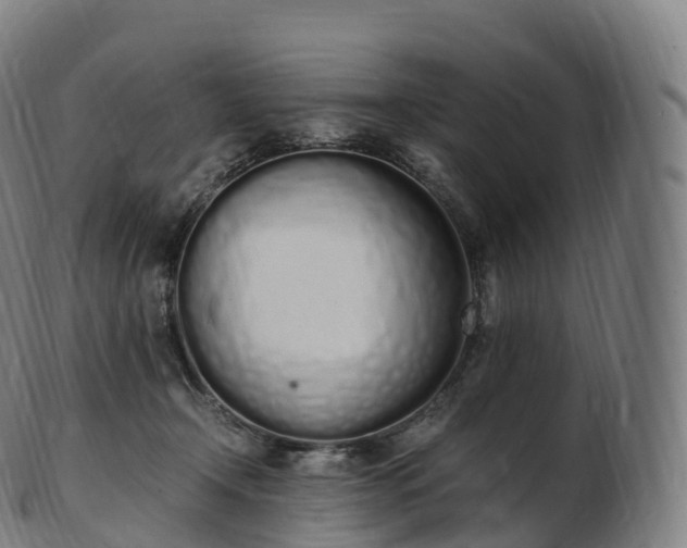 X0000103330366200809121215