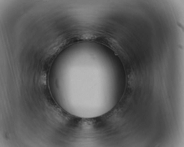 X0000103330368200809121215