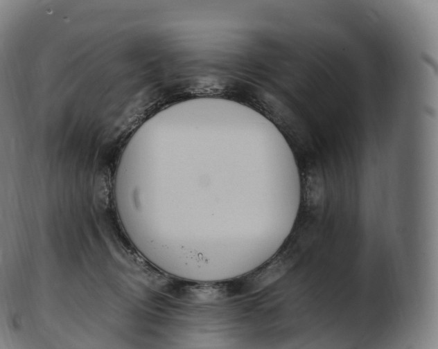 X0000103330370200809121215