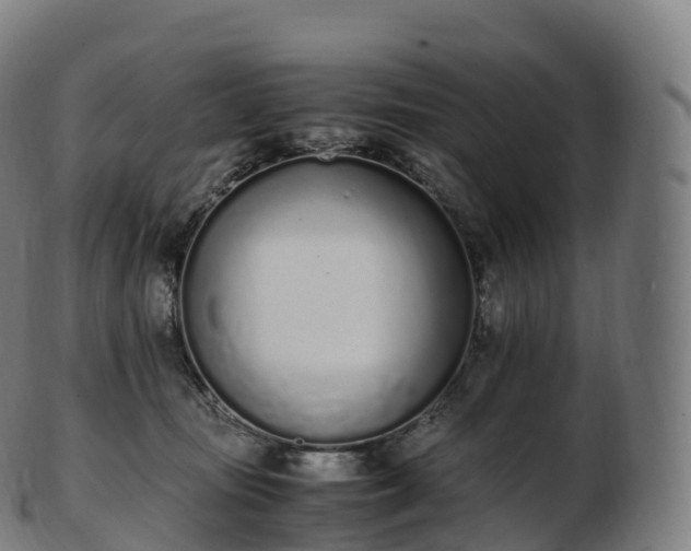 X0000103330371200809121215