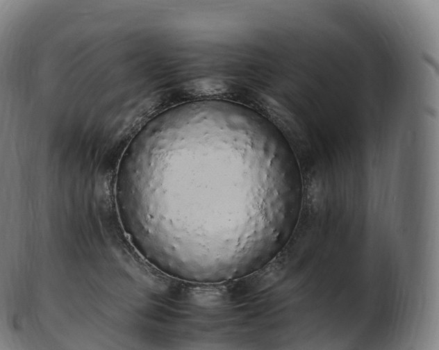 X0000103330373200809121216