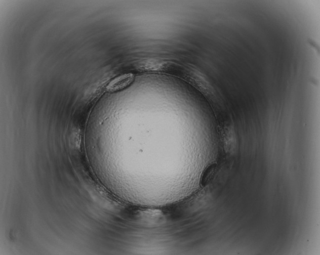 X0000103330374200809121216