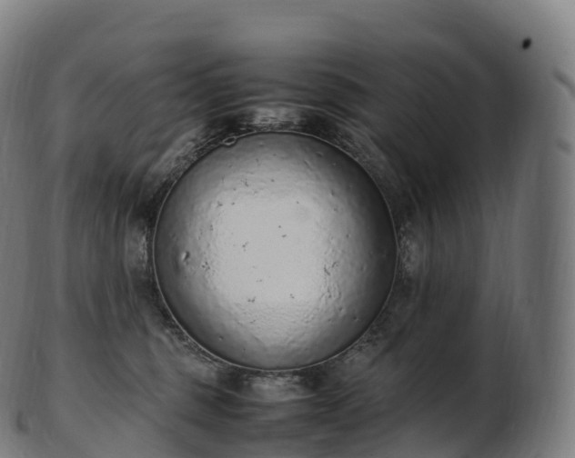 X0000103330375200809121216