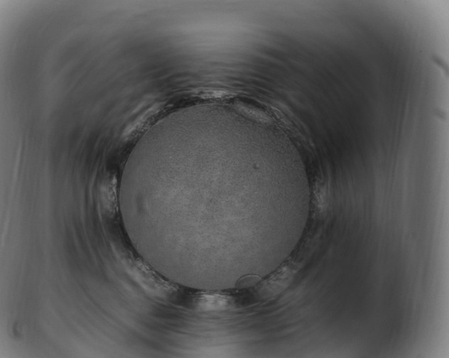 X0000103330376200809121216