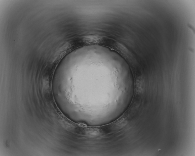 X0000103330377200809121216