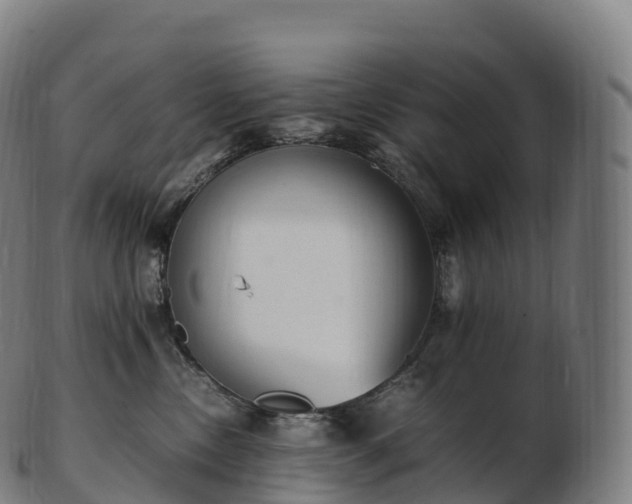 X0000103330378200809121216