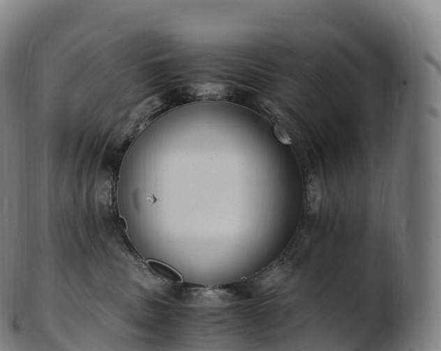 X0000103330379200809121216