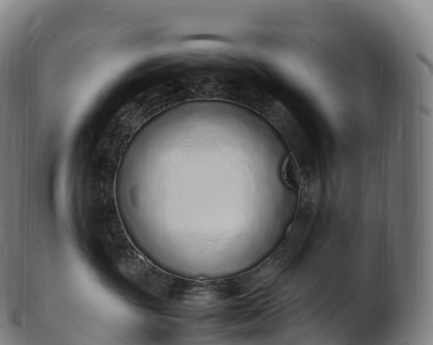 X0000103330381200809121216