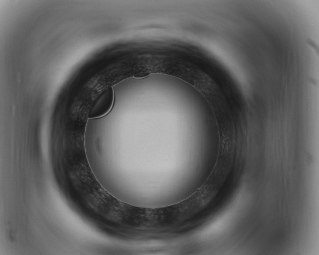 X0000103330383200809121216