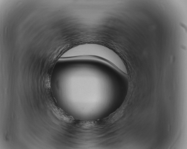 X0000103330384200809121216