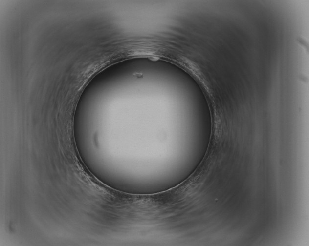 X0000103330385200809121215