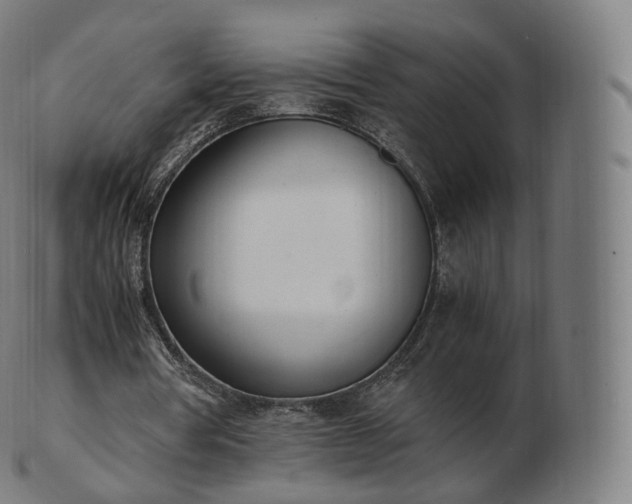 X0000103330386200809121215