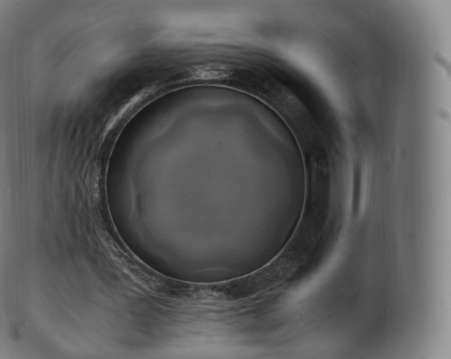 X0000103330387200809121215