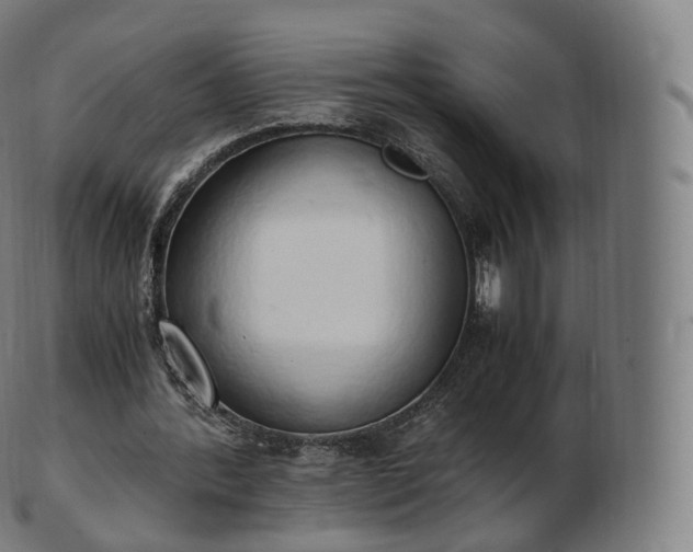 X0000103330388200809121215