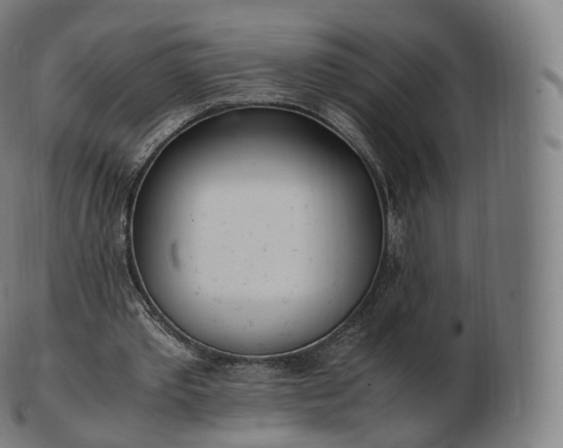 X0000103330389200809121215