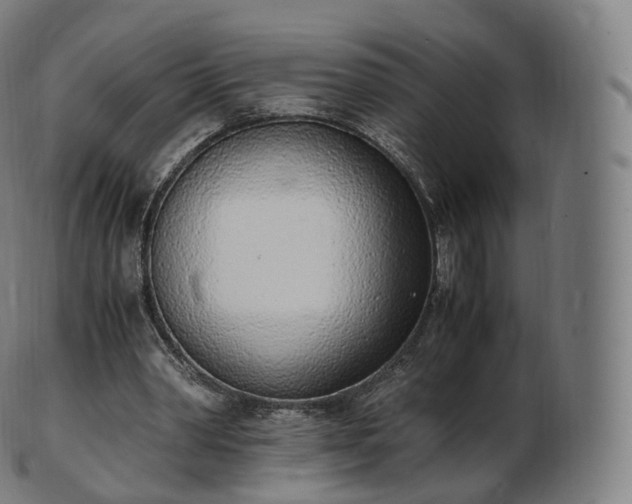 X0000103330390200809121215