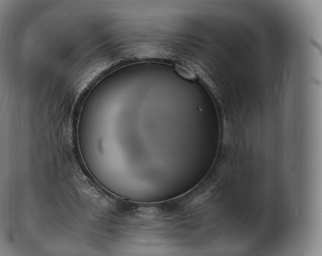 X0000103330391200809121215