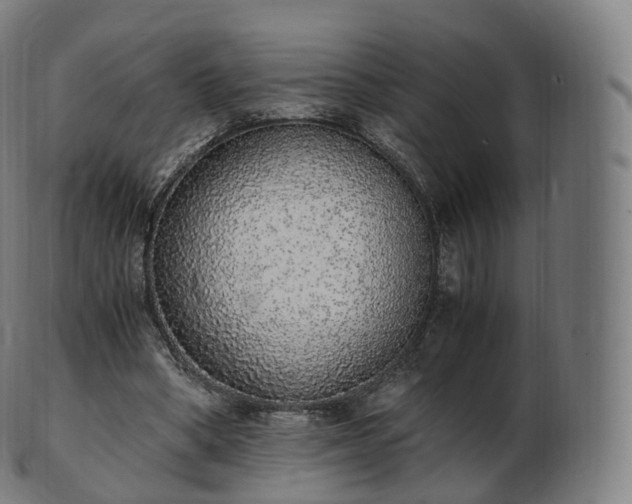 X0000103330394200809121215