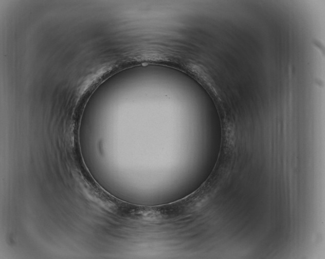 X0000103330395200809121215