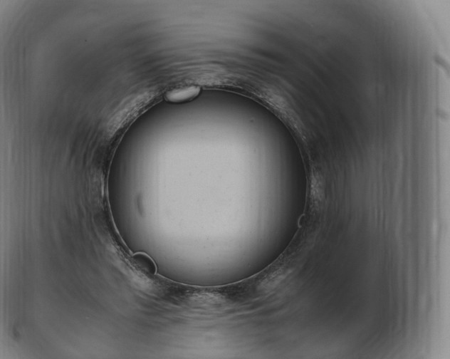 X0000103330397200809121215