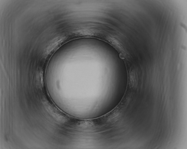 X0000103330398200809121215