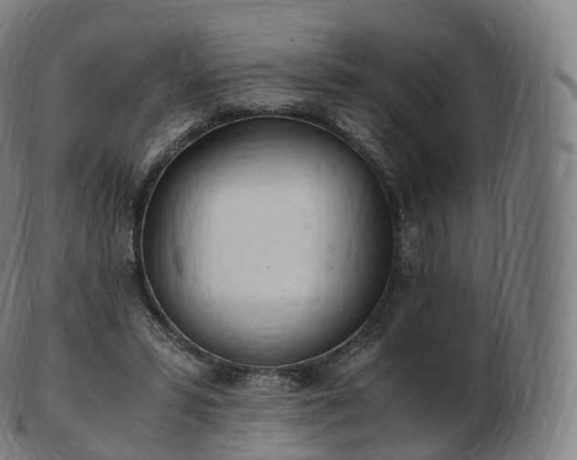 X0000103330399200809121215