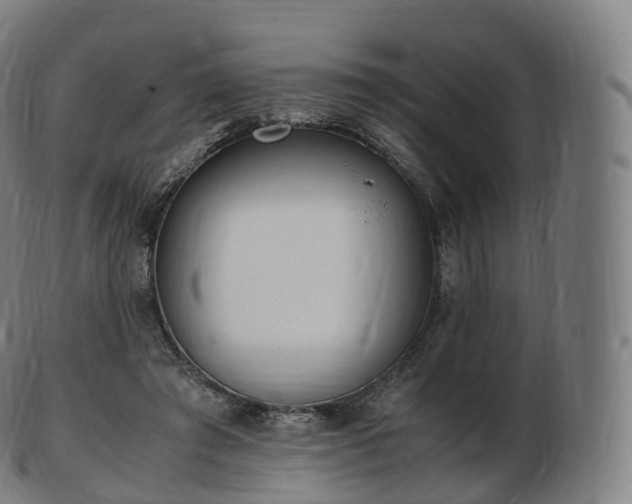 X0000103330401200809121215