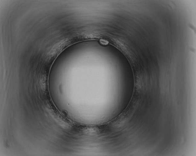 X0000103330402200809121215