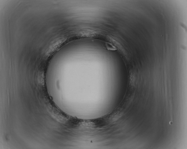 X0000103330403200809121215