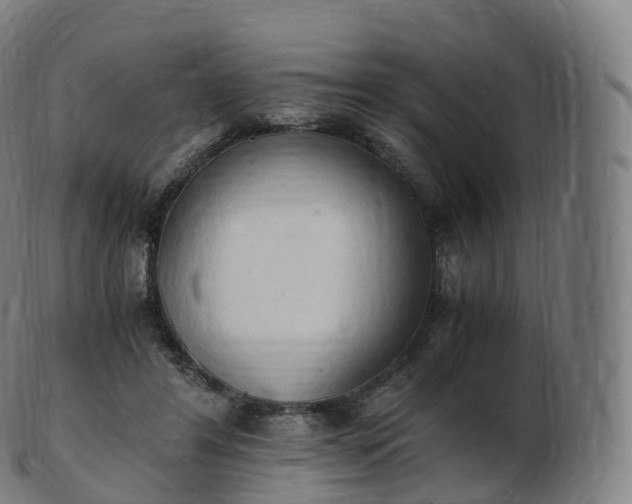 X0000103330404200809121215