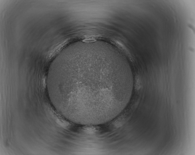 X0000103330405200809121215