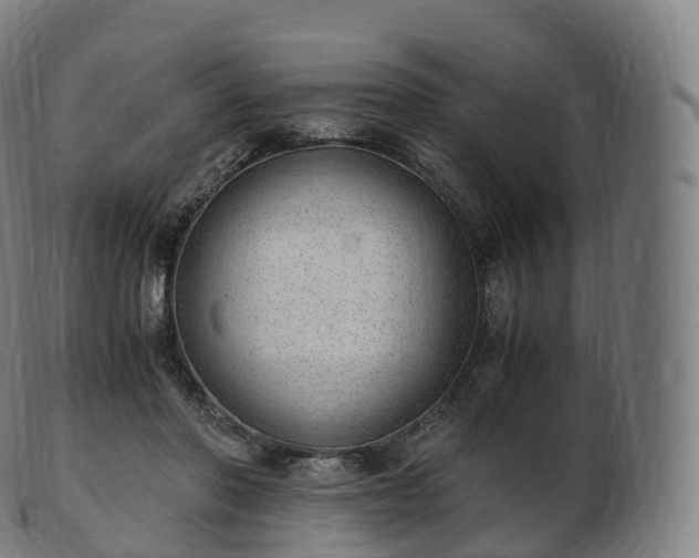 X0000103330406200809121215