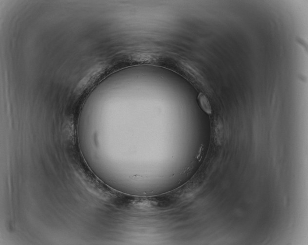 X0000103330407200809121215