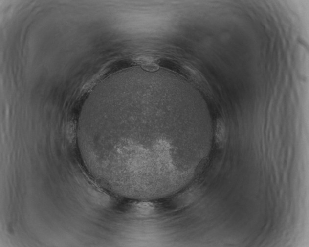 X0000103330409200809121215