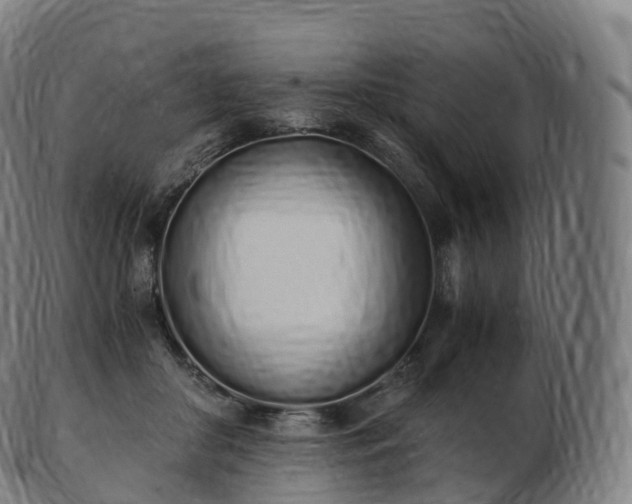 X0000103330410200809121214