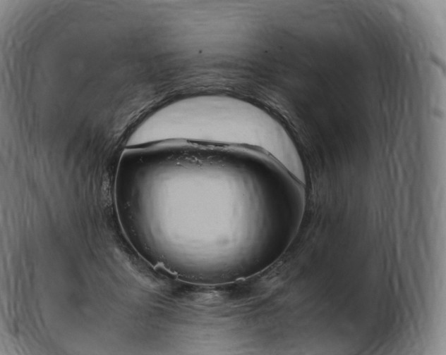 X0000103330411200809121214