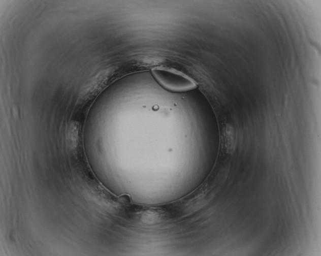 X0000103330412200809121214